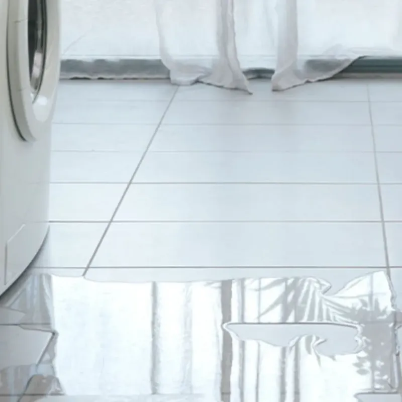 Appliance Leak Cleanup in Mount Vernon, WA