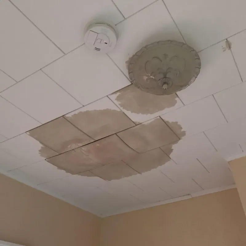 Ceiling Water Damage Repair in Mount Vernon, WA